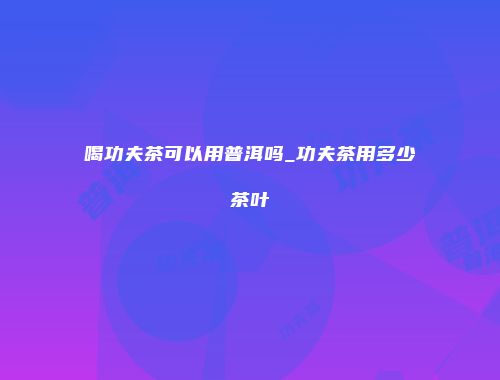 喝功夫茶可以用普洱吗_功夫茶用多少茶叶