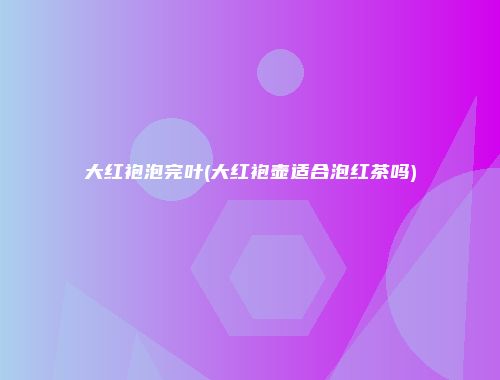 大红袍泡完叶(大红袍壶适合泡红茶吗)