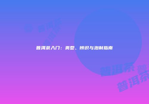 普洱茶入门：类型、辨识与泡制指南