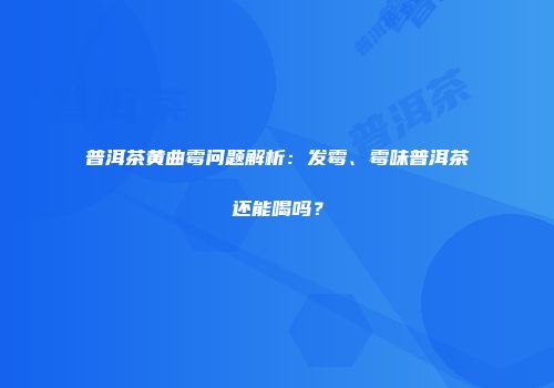 普洱茶黄曲霉问题解析：发霉、霉味普洱茶还能喝吗？