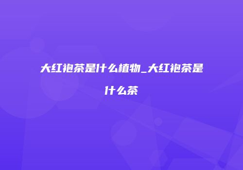 大红袍茶是什么植物_大红袍茶是什么茶