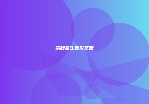 紫砂壶生普投茶量
