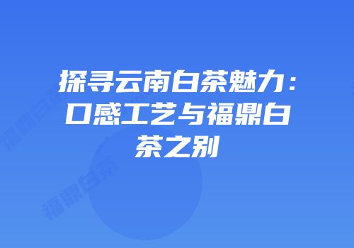 探寻云南白茶魅力：口感工艺与福鼎白茶之别