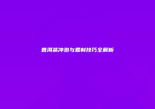 普洱茶冲泡与煮制技巧全解析