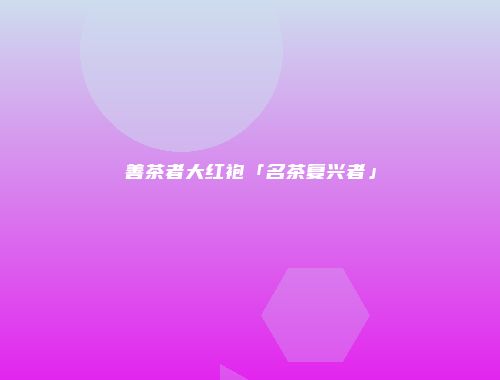 善茶者大红袍「名茶复兴者」