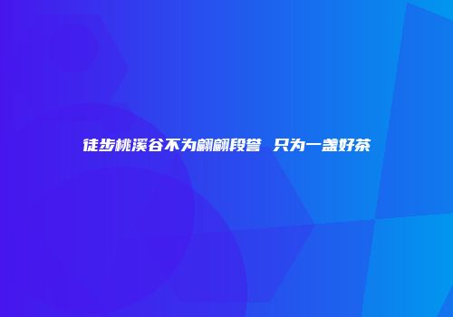 徒步桃溪谷不为翩翩段誉 只为一盏好茶