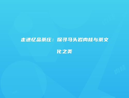 走进忆品茶庄：探寻马头岩肉桂与茶文化之美
