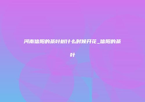 河南信阳的茶叶树什么时候开花_信阳的茶叶