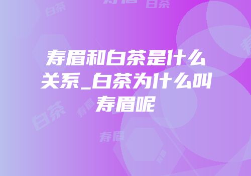 寿眉和白茶是什么关系_白茶为什么叫寿眉呢