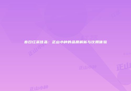 春日红茶佳品：正山小种的品质解析与饮用体验