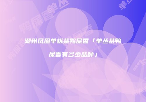 潮州凤凰单枞茶鸭屎香「单丛茶鸭屎香有多少品种」