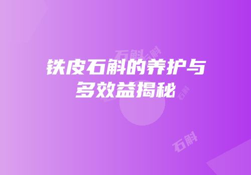 铁皮石斛的养护与多效益揭秘