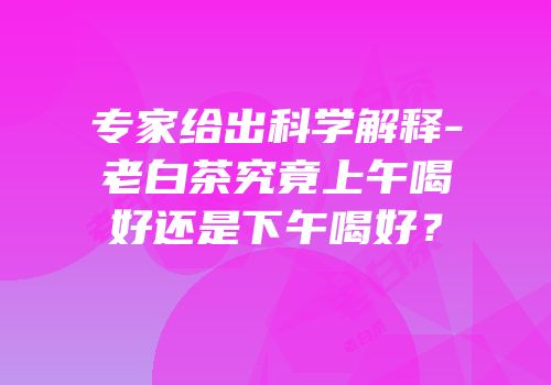 专家给出科学解释-老白茶究竟上午喝好还是下午喝好？