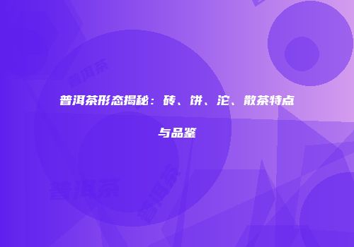 普洱茶形态揭秘：砖、饼、沱、散茶特点与品鉴