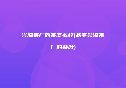 兴海茶厂的茶怎么样(品鉴兴海茶厂的茶叶)