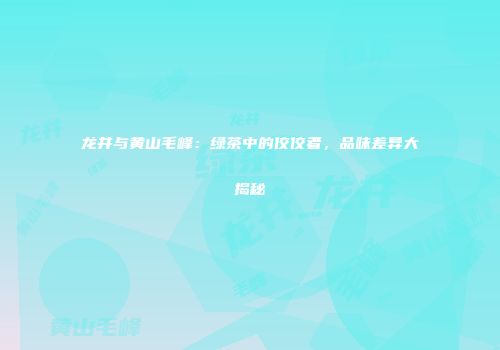 龙井与黄山毛峰：绿茶中的佼佼者，品味差异大揭秘