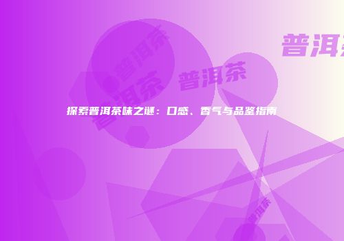 探索普洱茶味之谜：口感、香气与品鉴指南