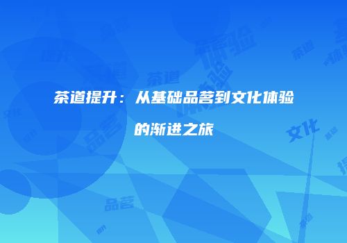 茶道提升：从基础品茗到文化体验的渐进之旅