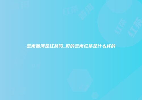 云南普洱是红茶吗_好的云南红茶是什么样的