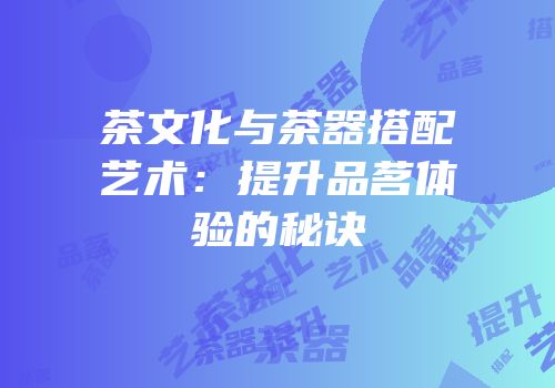 茶文化与茶器搭配艺术：提升品茗体验的秘诀
