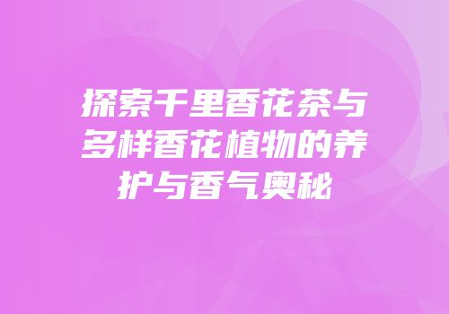 探索千里香花茶与多样香花植物的养护与香气奥秘