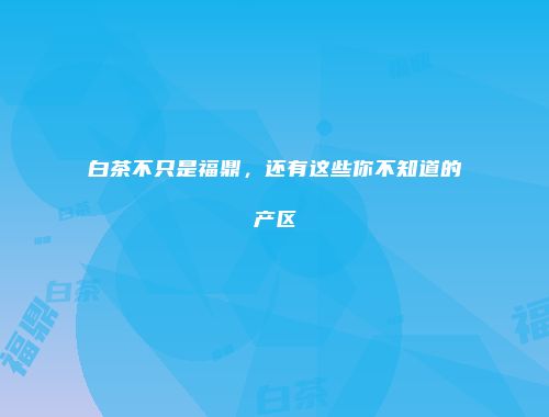 白茶不只是福鼎，还有这些你不知道的产区