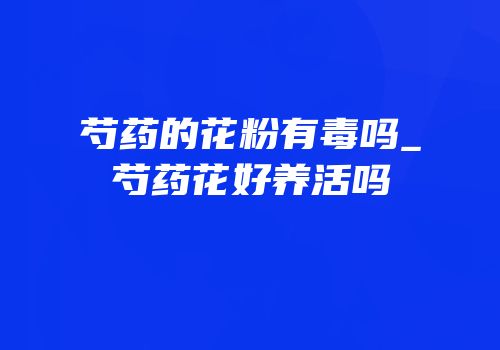芍药的花粉有毒吗_芍药花好养活吗