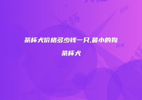 茶杯犬价格多少钱一只,最小的狗茶杯犬