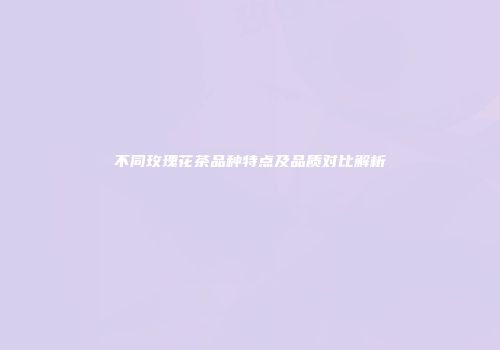 不同玫瑰花茶品种特点及品质对比解析