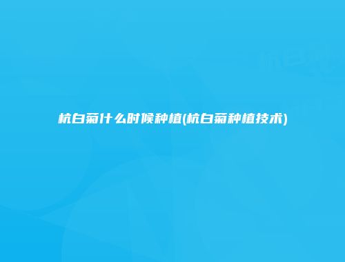 杭白菊什么时候种植(杭白菊种植技术)