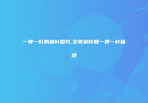 一芽一叶的茶叶图片,全芽茶叶和一芽一叶味道
