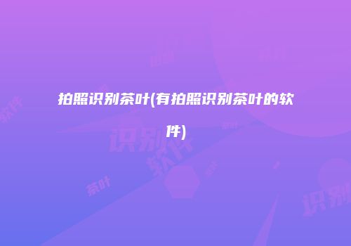 拍照识别茶叶(有拍照识别茶叶的软件)