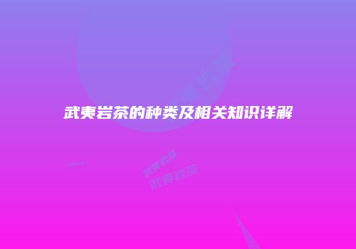 武夷岩茶的种类及相关知识详解