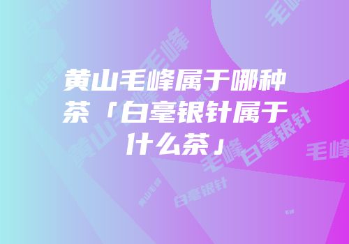黄山毛峰属于哪种茶「白毫银针属于什么茶」