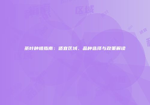 茶叶种植指南：适宜区域、品种选择与政策解读