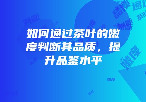 如何通过茶叶的嫩度判断其品质，提升品鉴水平