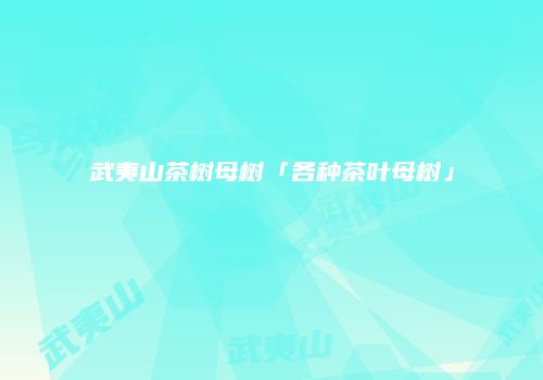 武夷山茶树母树「各种茶叶母树」