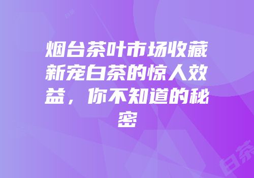 烟台茶叶市场收藏新宠白茶的惊人效益，你不知道的秘密
