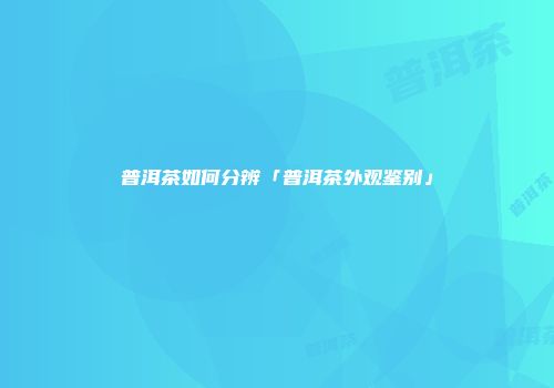 普洱茶如何分辨「普洱茶外观鉴别」