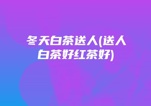 冬天白茶送人(送人白茶好红茶好)