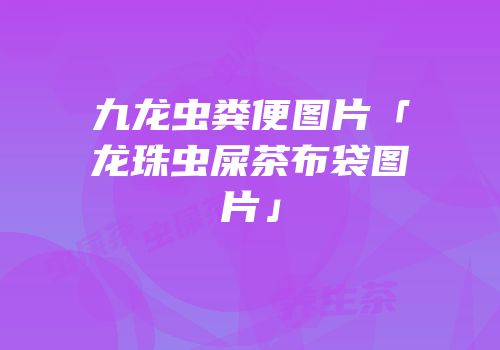 九龙虫粪便图片「龙珠虫屎茶布袋图片」