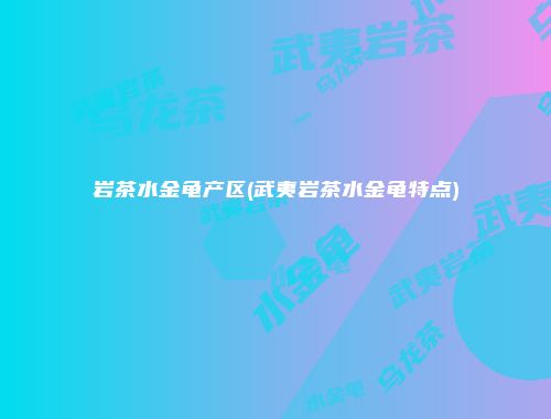 岩茶水金龟产区(武夷岩茶水金龟特点)