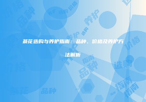 茶花选购与养护指南：品种、价格及养护方法解析