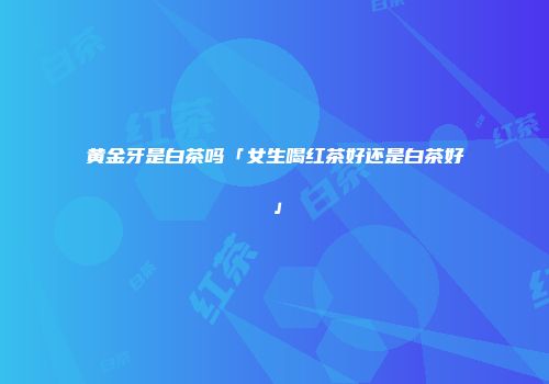 黄金牙是白茶吗「女生喝红茶好还是白茶好」