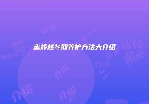 蜜蜂越冬期养护方法大介绍
