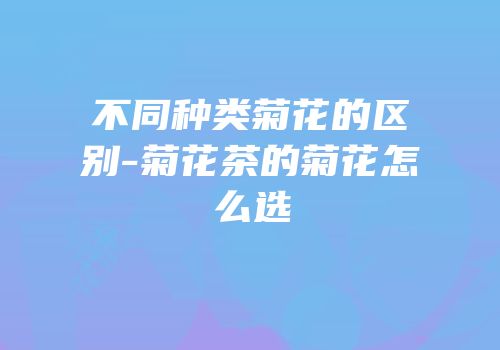 不同种类菊花的区别-菊花茶的菊花怎么选