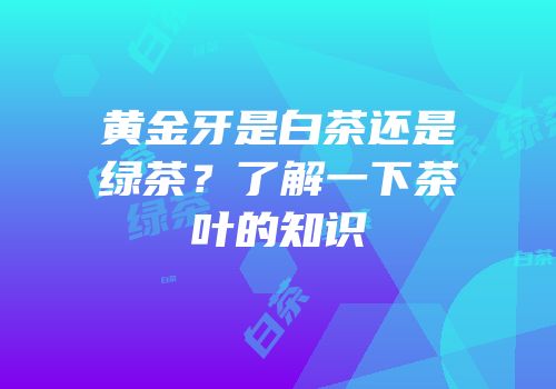 黄金牙是白茶还是绿茶？了解一下茶叶的知识