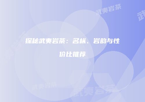 探秘武夷岩茶：名枞、岩韵与性价比推荐