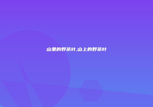 山里的野茶叶,山上的野茶叶