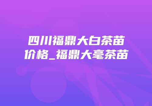 四川福鼎大白茶苗价格_福鼎大毫茶苗